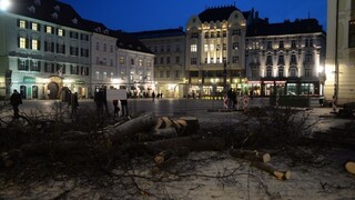 Františkánske námestie je bez stromov, plánuje sa aj archeologický výskum