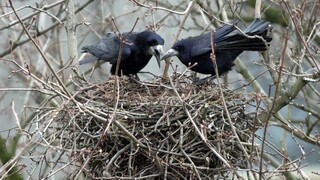 Nechoďte do lesa v noci, vtedy patrí zvieratám. Pravidlá v prírode treba dodržiavať