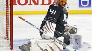 Tatar skóroval, Halák s dvojstým víťazstvom a nepríjemným zranením