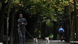 V Rači vznikne namiesto výškovej budovy park, rozhodli občania