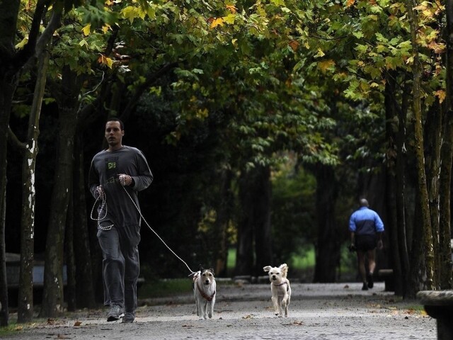 V Rači vznikne namiesto výškovej budovy park, rozhodli občania