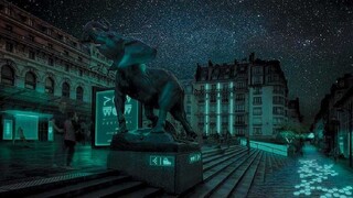 Paríž môže zaplaviť svetlo z baktérií, ktoré žijú v chobotniciach