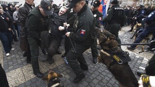 Kotlebovci sú vrchol ľadovca. História neonacistov a extrémistov na Slovensku