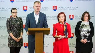 TB predstaviteľov strany Sieť o vystúpení z nej