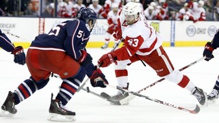 Detroit s Tatarom vyhral v Columbuse, vrátil sa na postupovú priečku