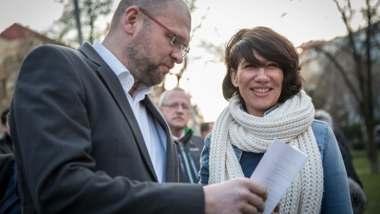 SNS zrejme podporí Nicholsonovú ako podpredsedníčku NR SR