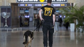 Bezpečnosť na európskych letiskách vyvoláva otázky aj pohoršenie