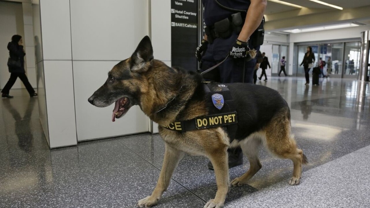 Obavy z terorizmu? Francúzske letisko Toulouse-Blagnac museli evakuovať