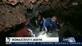 V Slovenskom raji sledujú evolúciu, pomáhajú jaskynné živočíchy