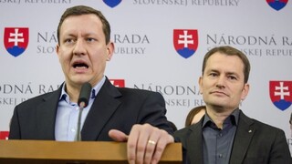 Vyšetrovacie výbory parlamentu by vraj dokázali objasniť závažné kauzy