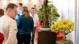 Inšpiráciu pre krajšie bývanie nájdete na výstavisku v Nitre