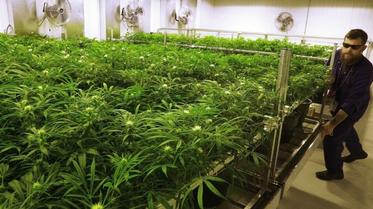 Austrália má prvú legálnu farmu marihuany, pomôže trpiacim