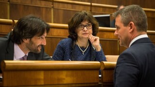 Opozícia hľadá človeka vo vládnom programe a naozajstný problém krajiny