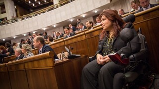 Poslankyňa na vozíku kritizovala chýbajúcu bezbariérovosť na Slovensku