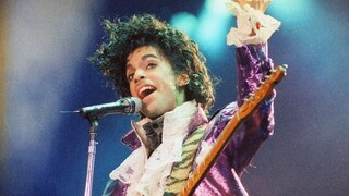Prince nespáchal samovraždu, ukázala pitva