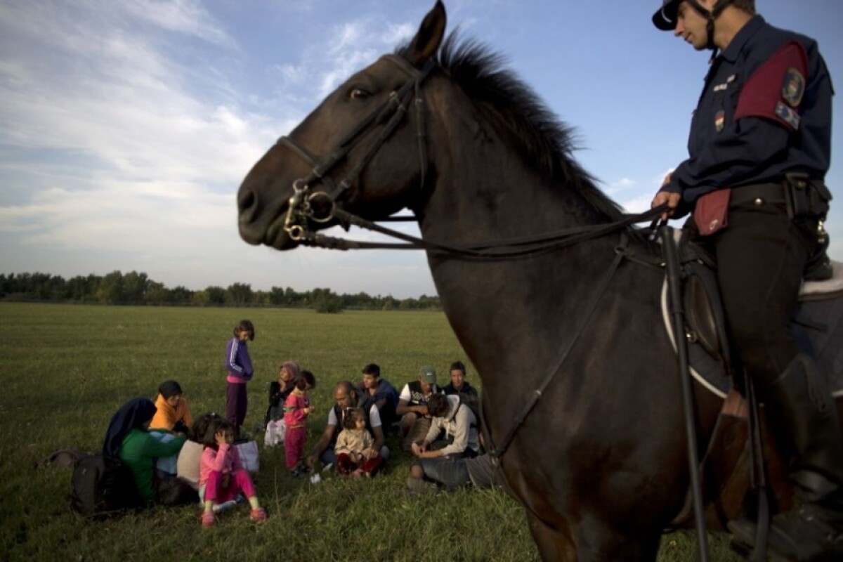 hungary_migrants-b4c8f75fd25b4b9ab159807ddbda96fd.jpg