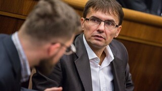 Bašternáka a Kočnera roky kryjú, tvrdí SaS. Mali vraj štátne zákazky