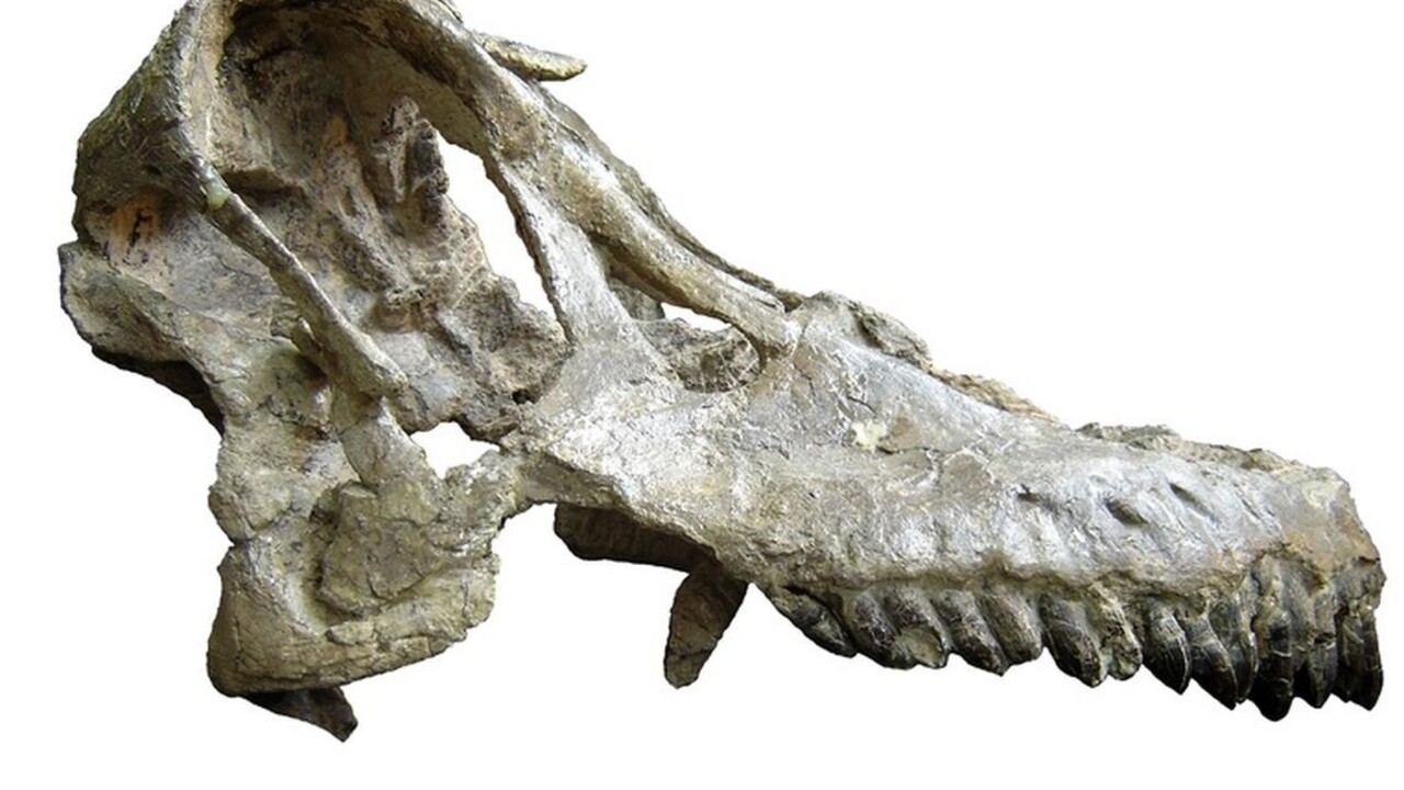 Objavili nového gigantického dinosaura, žil v Argentíne