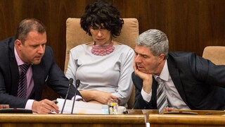 Pellegrinimu schválili úrad, Petrík nevpustili do pléna s bábätkom