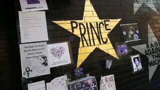 Prince mal málo červených krviniek, v tele mu našli liek