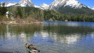 Štrbské pleso zázračne zregenerovalo, zmizol z neho zákal