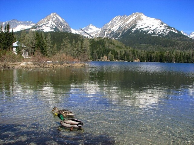 Štrbské pleso zázračne zregenerovalo, zmizol z neho zákal