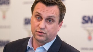 Slovensko si počas predsedníctva neurobí hanbu, tvrdí Danko