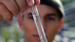 Ziku vstrekli do mozgu myšacích embryí, ale stále nenašli odpoveď