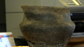 Školáci si v lese kopali bunker, narazili na vzácny nález