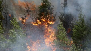 Nad Žilinou sa rozhorel lesný požiar, zasiahli desiatky hasičov