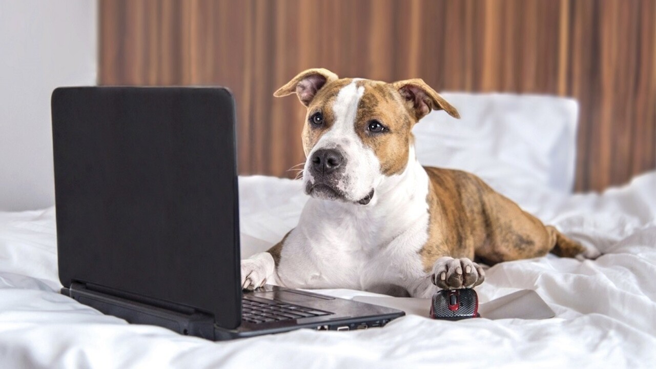 Platby za elektrinu už môžeme uhrádzať, kedy nám to vyhovuje