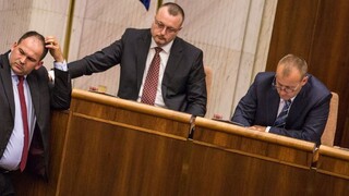 Poslancov rozhádalo naše predsedníctvo, v parlamente sa ocitol Winnetou