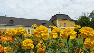 Z hendikepovaných ľudí v Žehre sa stali turistickí sprievodcovia