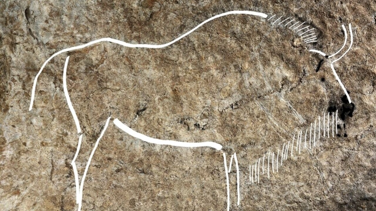 Diela šampióna jaskynného umenia verejnosť zrejme nikdy naživo neuvidí