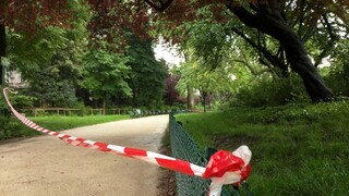 Detská párty sa v Paríži skončila tragédiou, do detí udrel blesk