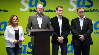 TB Opozičnej rady po jej zasadnutí