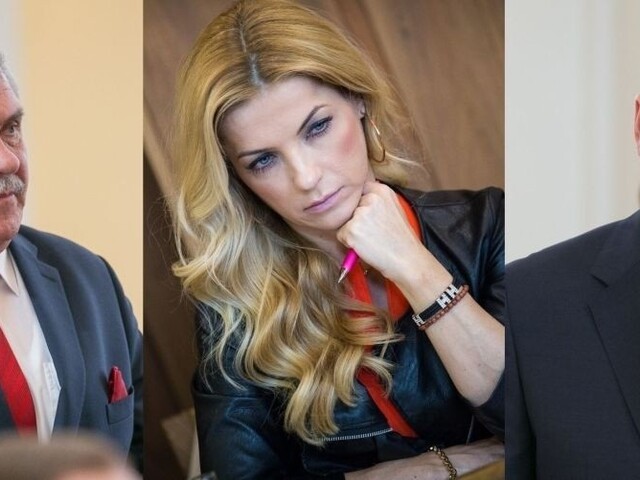 Nespokojenci zo Sme rodina by mohli skončiť v Sieti