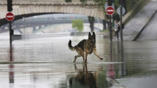 Nemecko a Francúzsko zasiahli povodne, vyžiadali si aj obete