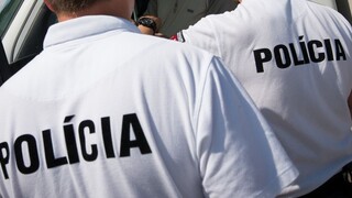 Lipšic: Policajti zastavili auto s Bašternákom, zavolali im zhora