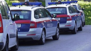 Vo Viedni odsúdili utečenca, ktorý znásilnil školáka