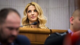Parlamentné výbory začali konania proti Šimkovičovej aj Kaliňákovi