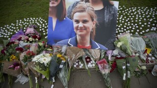 Smrť zradcom, slobodu Británii, provokoval vrah Coxovej pred súdom