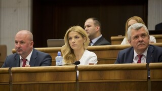 Výbor rozhodol o treste pre Šimkovičovú, ktorá hlasovala za kolegu
