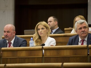 Výbor rozhodol o treste pre Šimkovičovú, ktorá hlasovala za kolegu
