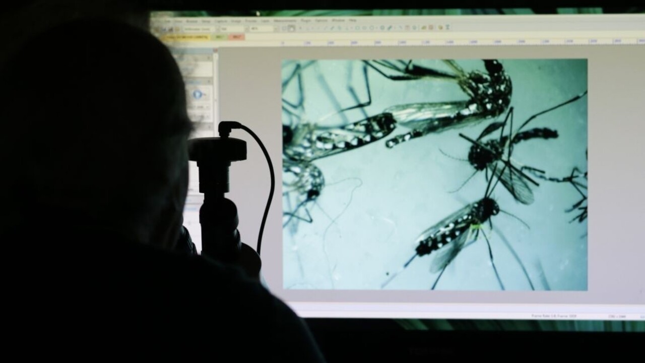 Vedci úspešne odskúšali vakcínu proti vírusu Zika, no zatiaľ iba na myšiach