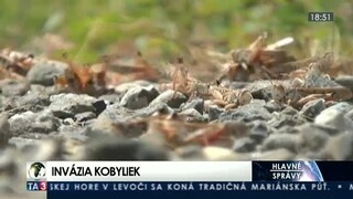 Mračná kobyliek sa zastavili v ruskom Soči, turisti cítia strach a hnus