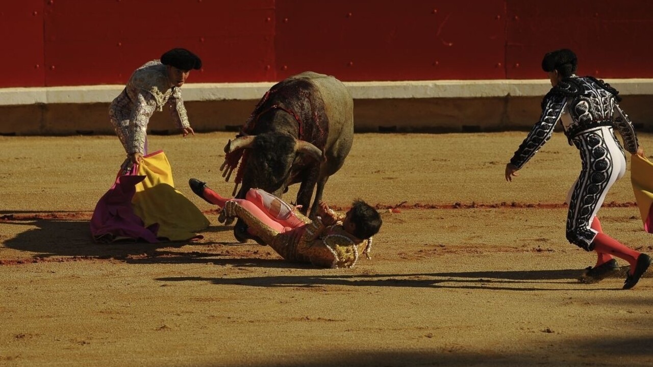 Býčie zápasy sa skončili tragédiou, roh prepichol matadorovi srdce