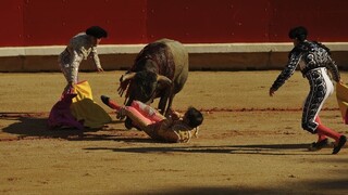Býčie zápasy sa skončili tragédiou, roh prepichol matadorovi srdce