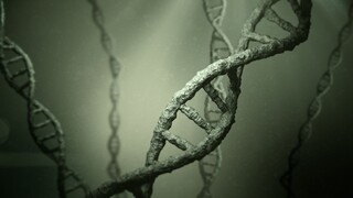 Slovenskí vedci objavili látku, ktorá opravuje poškodenú DNA