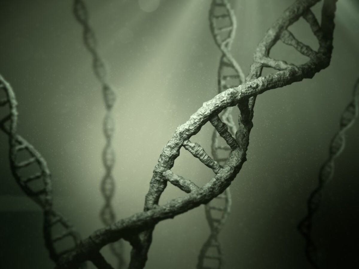 Slovenskí vedci objavili látku, ktorá opravuje poškodenú DNA